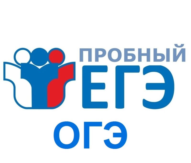 Родители столичных старшеклассников сдали пробный ЕГЭ