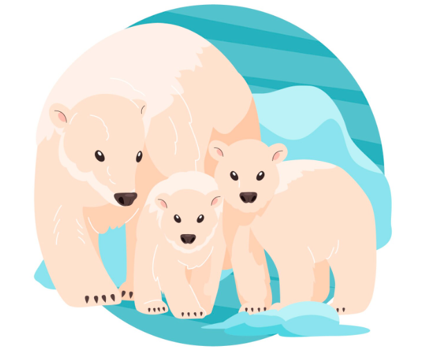 Белые медведи адаптируются к потеплению