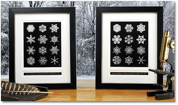 Фото источник: snowflakebentley