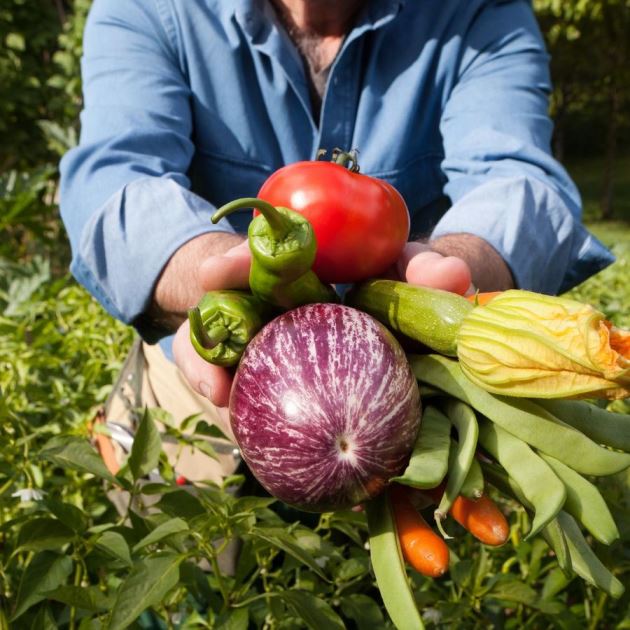Взаимодействие с покупателями без посредников – главное преимущество маркетплейса «Доброед»